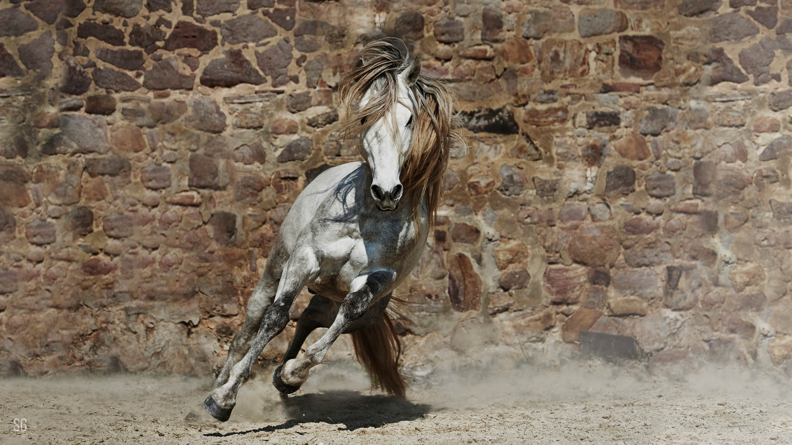 Hero Bild 7