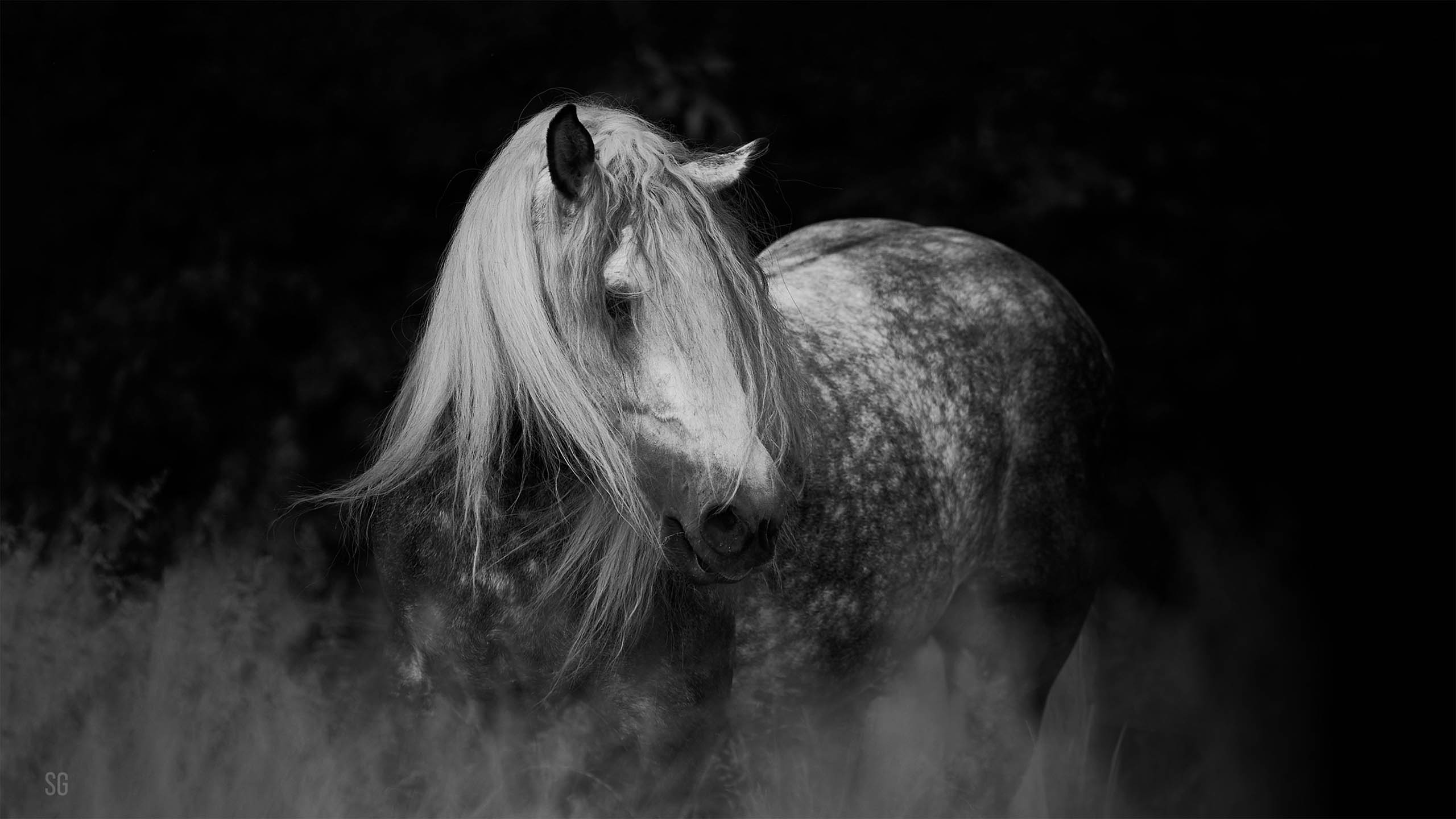 Hero Bild 8