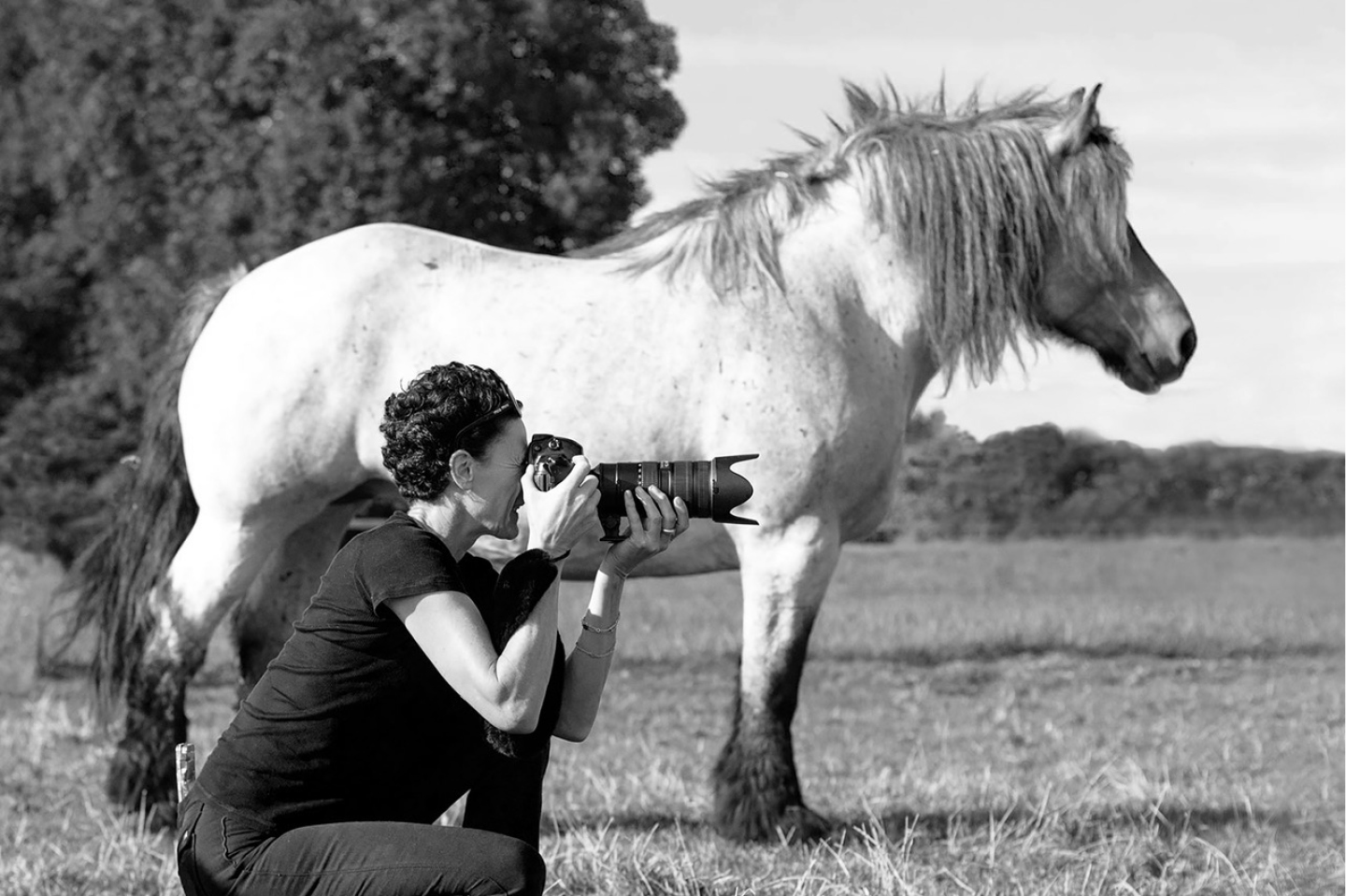 Sabine Grosser bei der Arbeit mit einem Pferd