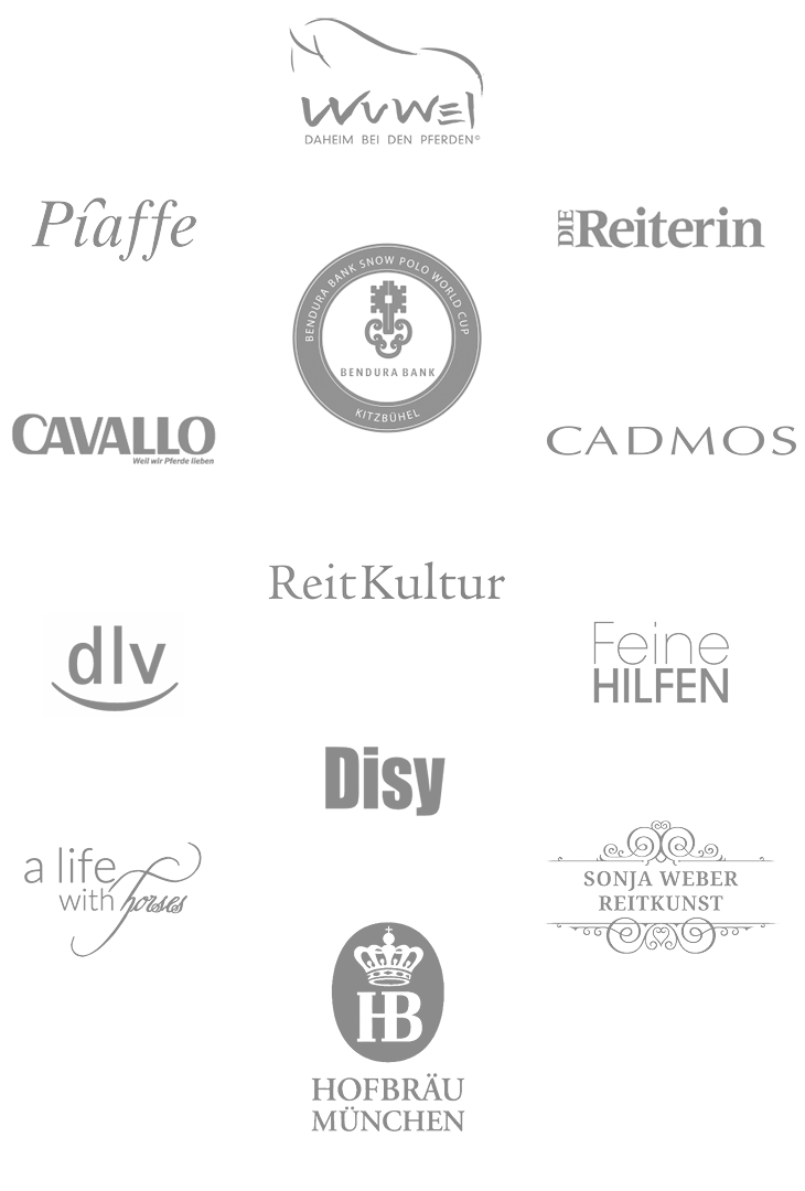 Publikationen